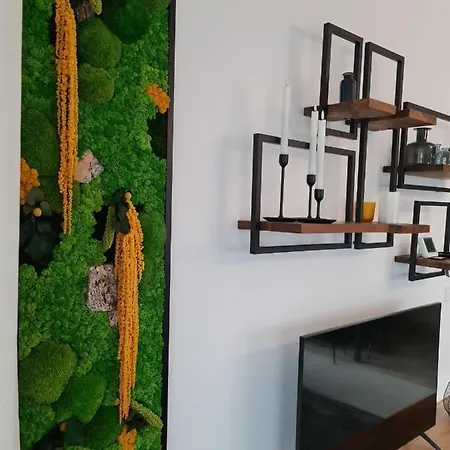 Tonic Coresi Apartment *