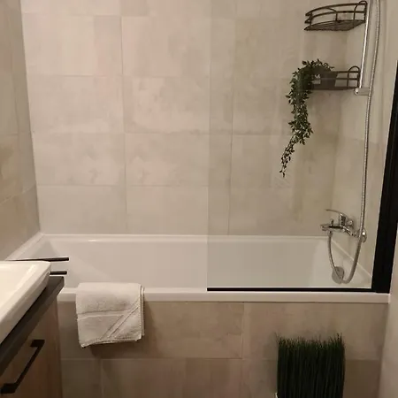 Apartment Tonic Coresi Brasov
